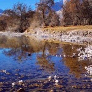 Meet your Posher, Abdulrahman